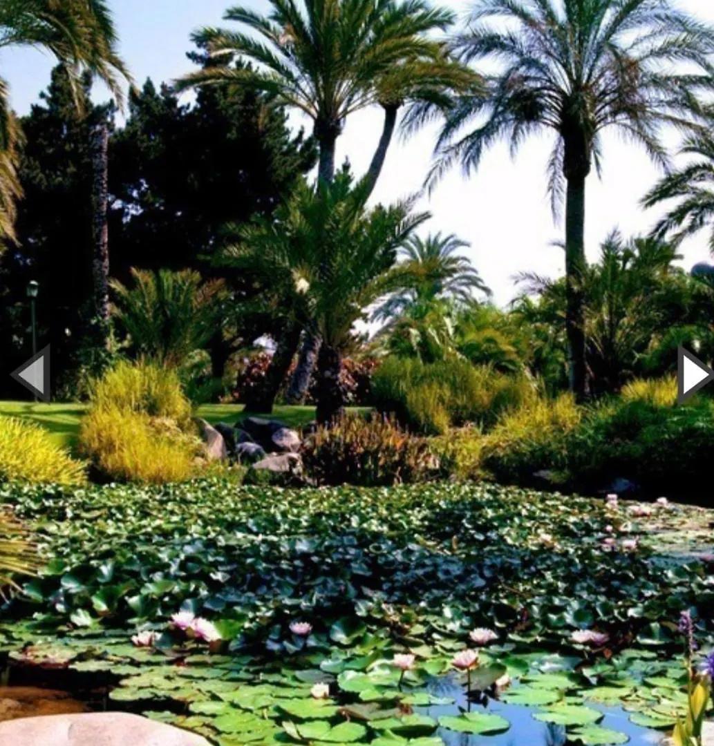 Marbella Urb.Playas Del Duque Puerto Banus Apartment